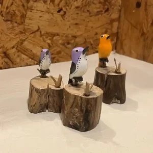 Pajaros Recina