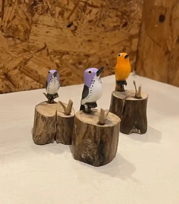 Pajaros Recina